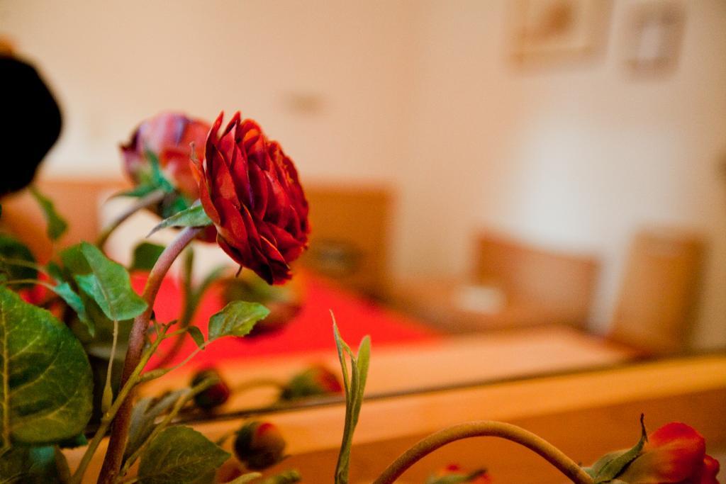Hotel Possidon Aegina الغرفة الصورة